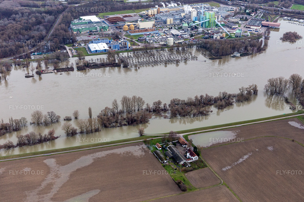 Luftbild: Gehöft und Bauernhof- Nebengebäude Hofgut Ludwigsau bei Rheinhochwasser am Rhein im Ortsteil Maximiliansau in Wörth im Bundesland Rheinland-Pfalz in Deutschland. Foto: IMG_124247.jpg vom 04.02.2021 durch Werner Riehm/FLY-FOTO.de