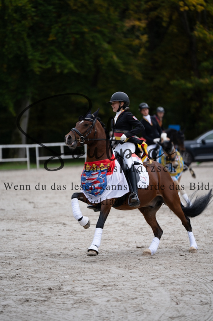 A7V01231 | Pferdefotograf