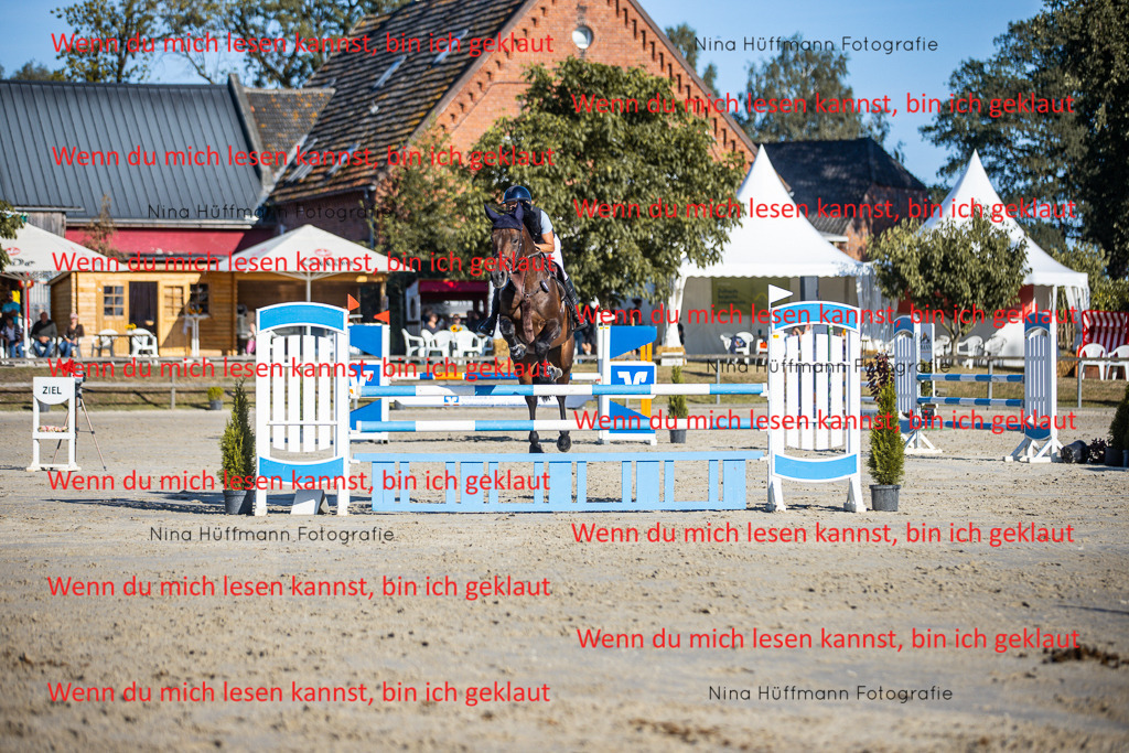 BK1A6116 | Turnierbilder Turnierfotos Nina Hüffmann Turnierfotografie Pferdefotografie Tierzeichnung Haustierzeichnung Pferdezeichnung Hundezeichnung Videograf  - Realisiert mit Pictrs.com