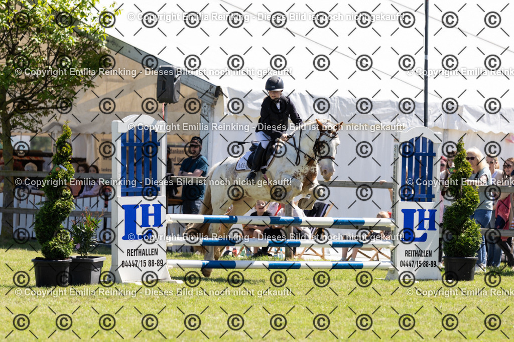 CL5A1084 | Emilia Reinking Fotografie - Realisiert mit Pictrs.com