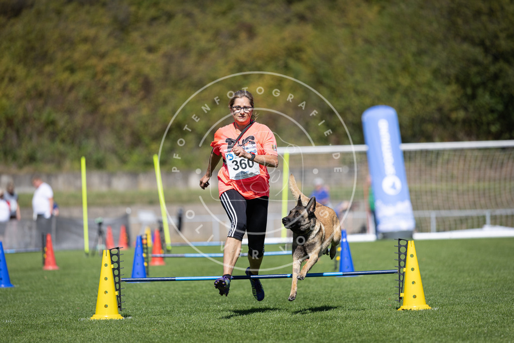 Pfotenfotografie_DV3A6611 | Hundefotografie, Tierfotograf, Pfotenfotografie, Fotoshooting Hund, Hunde Portrait, Hundesport, Hundeportraits, Heideshooting, Hunde, Sportfotograf, Hundefotograf, Turnierhundsport, THS,  - Realisiert mit Pictrs.com