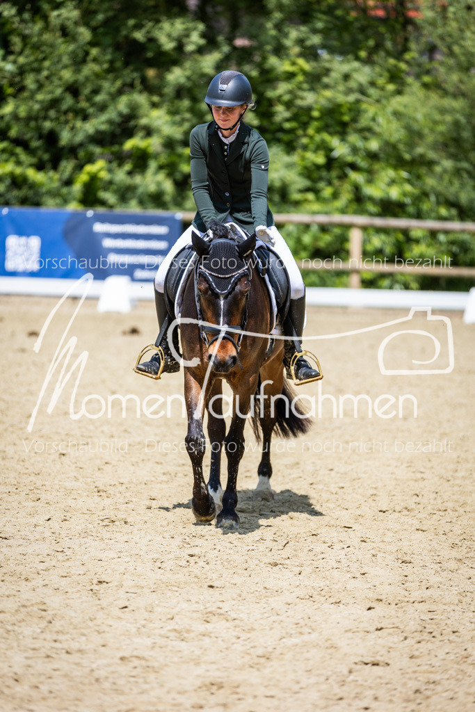 Donop24-EDre-053 | MomenTaufnahmen Pferdesportfotos