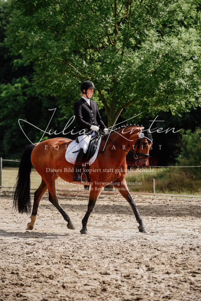 DSC_9802 | Pferde- und Turnierfotografie in Westsachsen. Pferdeportraits, Auftragszeichnungen und intuitive Kunst.