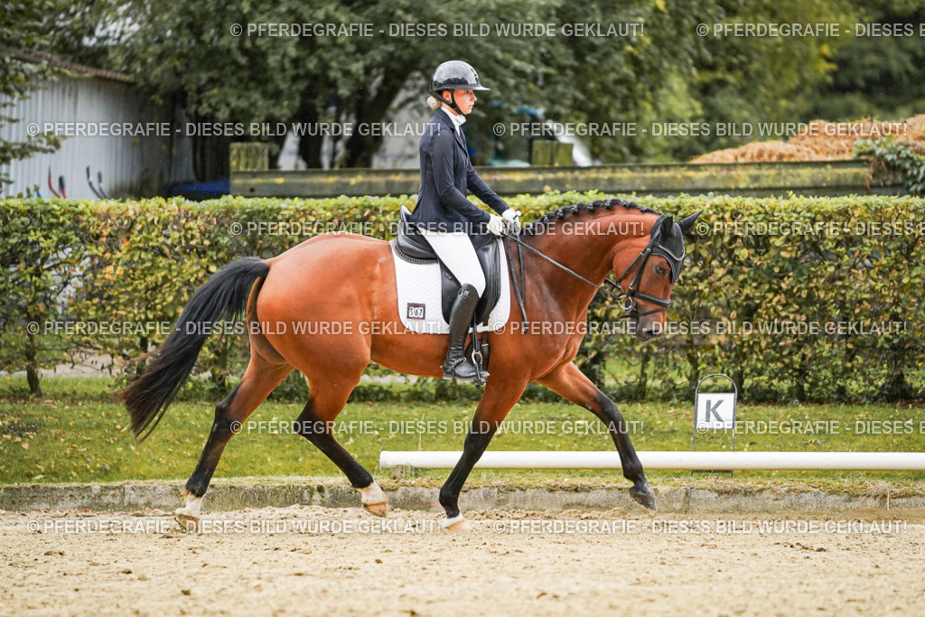 DSC07295 | Pferdegrafie