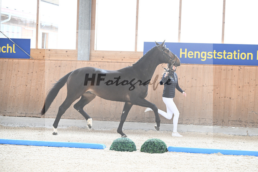 Kat-Nr. 85 Fideroy v. Fidertanz_Gossner_7241565 | hf-fotografie - Realizzato con Pictrs.com