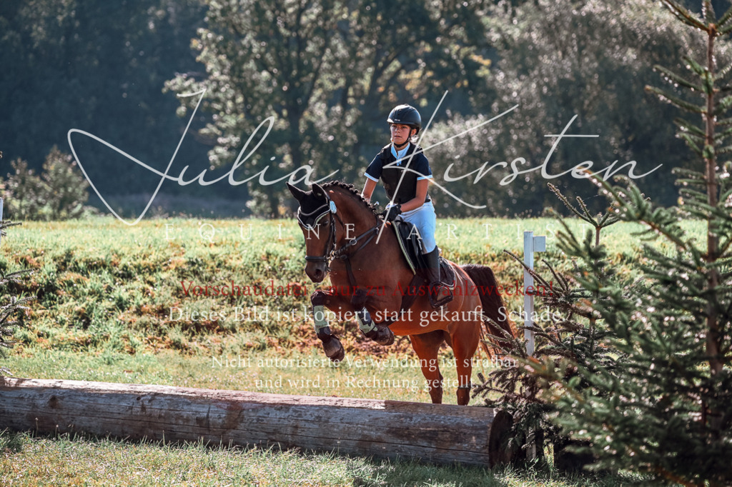 DSC_0957 | Pferde- und Turnierfotografie in Westsachsen. Pferdeportraits, Auftragszeichnungen und intuitive Kunst.