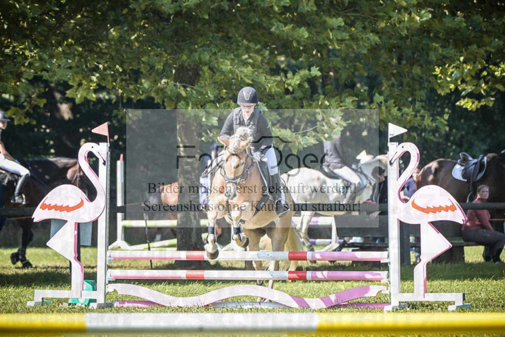 DOS_0083 | Entdecke hochwertige Reitturnierfotos von Foto Oger. Professionell, emotional und authentisch – jetzt Lieblingsmomente im Shop bestellen.Deutschlandweite Turnierfotografie. - Realisiert mit Pictrs.com