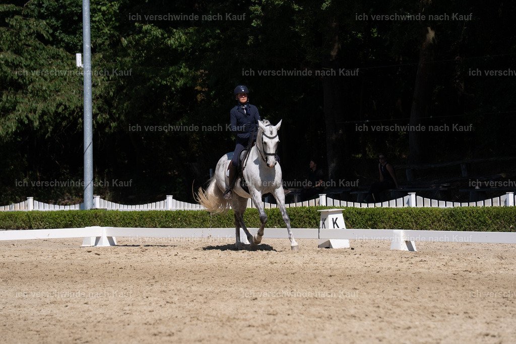 WS_DR_139_sinafilmart_IN03738 | working equitationturnier fotograf videograf stoibphotography marixx film working equitation deutschland reitsport turnierfotografie eventfotografie equestrian events