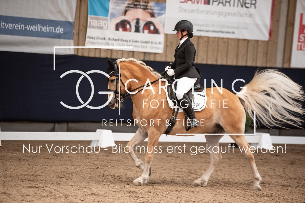 DSC_0833 | Turnierfotografin Carolin Gieschke, Turnierfotografie Carolin G Fotografie, Turnierfotos Kirchheim/Teck, Esslingen, Stuttgart, Bodenseekreis