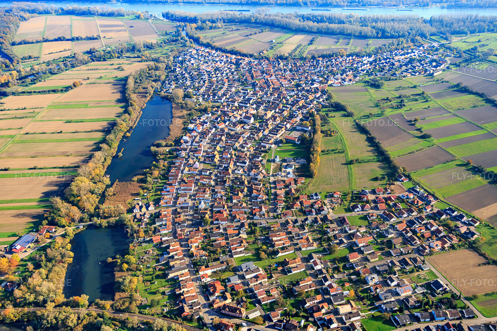 Luftbild: Dorfansicht am Tankgraben aus Westen in Neuburg am Rhein im Bundesland Rheinland-Pfalz in Deutschland. Foto: IMG_075793.jpg vom 02.11.2014 durch Werner Riehm/FLY-FOTO.de
