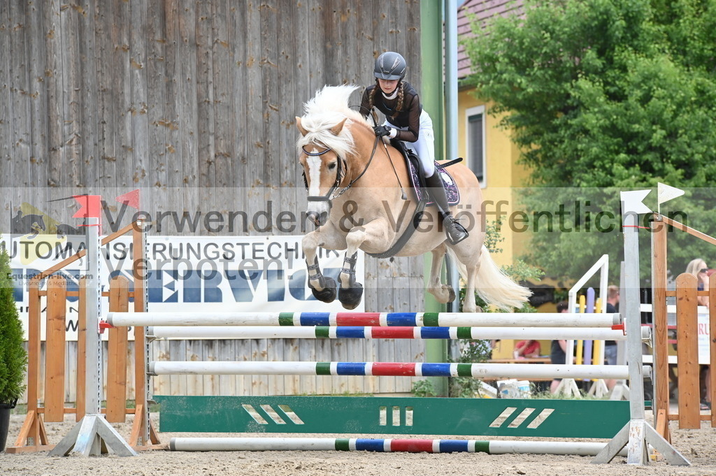 DSC_8495 | equestrian-live-com