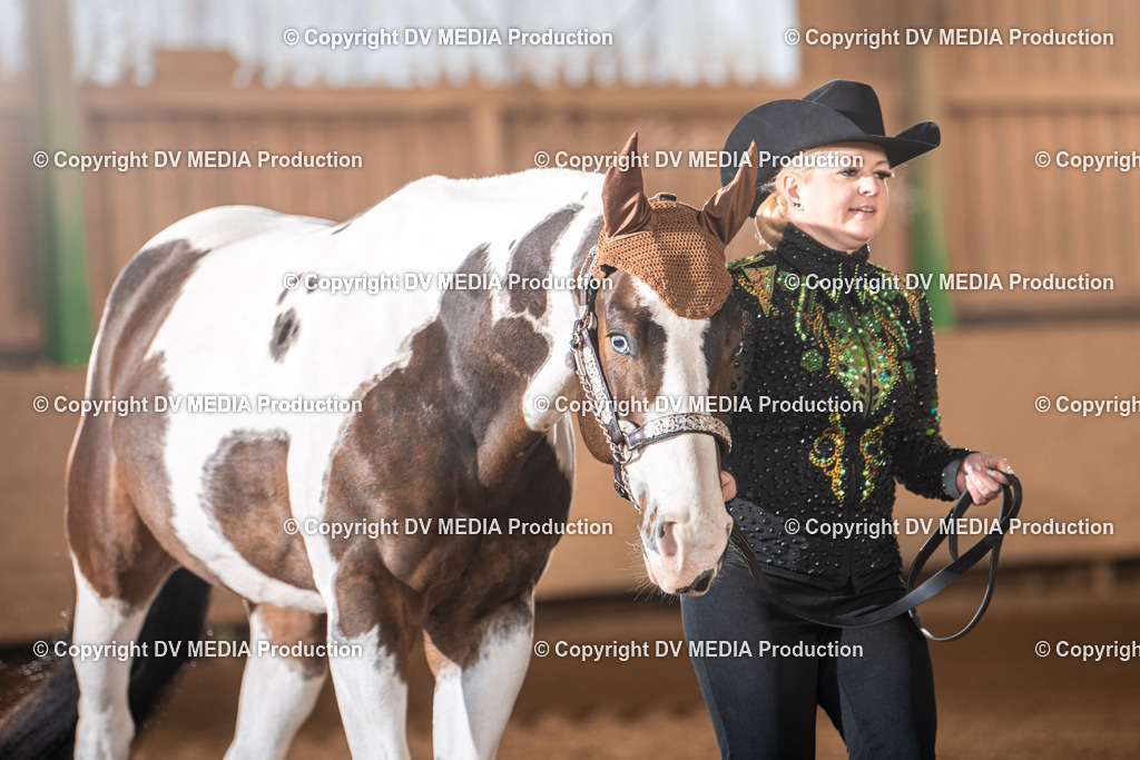 Balingen Tag 5-21 | dv-media-shop - Realisiert mit Pictrs.com