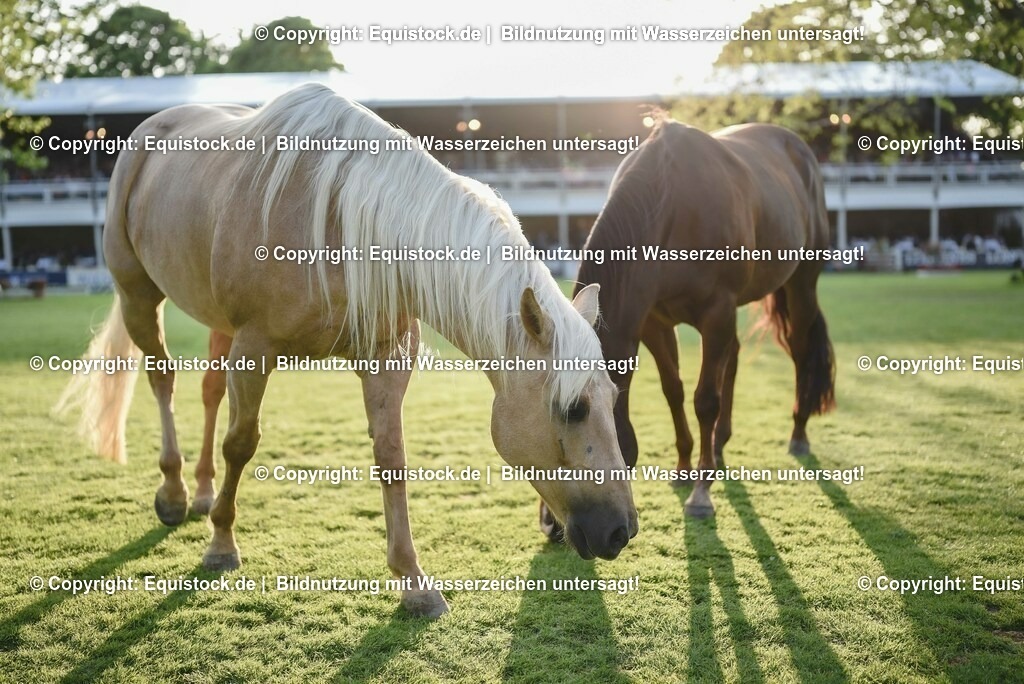 20230526_Impressionen_0344 | equistock