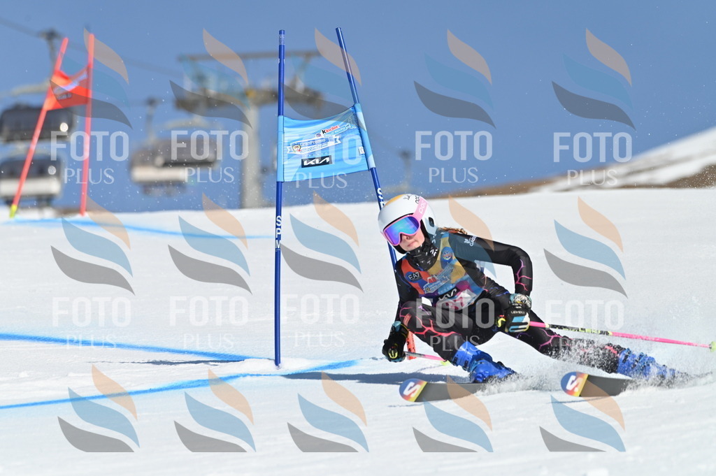 BGV_8290 | holidayphoto