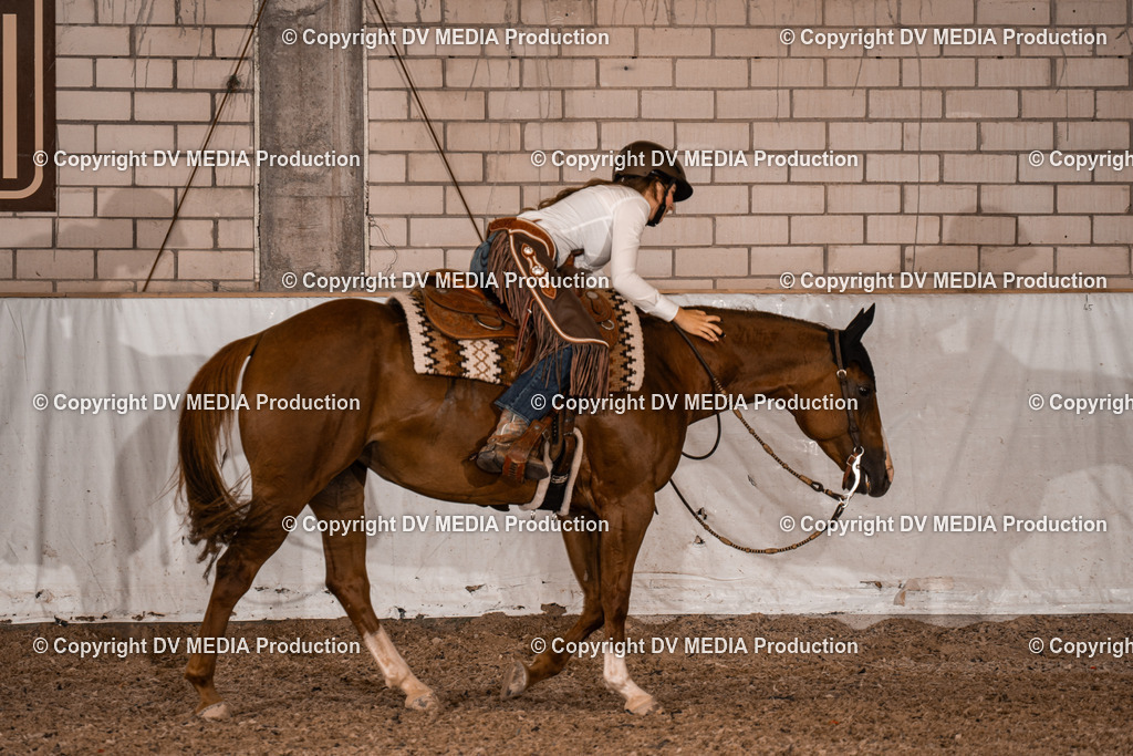 ZH300583 | dv-media-shop - Realisiert mit Pictrs.com