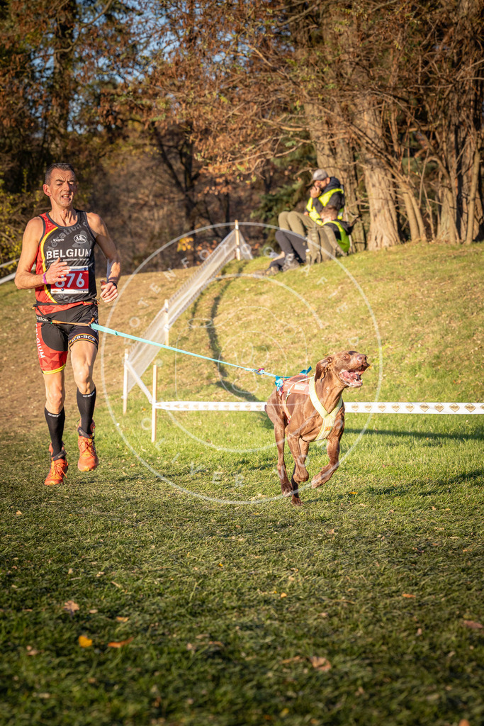 CaniXpix_0L8A1095 | Hundefotografie, Tierfotograf, Pfotenfotografie, Fotoshooting Hund, Hunde Portrait, Hundesport, Hundeportraits, Heideshooting, Hunde, Sportfotograf, Hundefotograf, Turnierhundsport, THS,  - Realisiert mit Pictrs.com