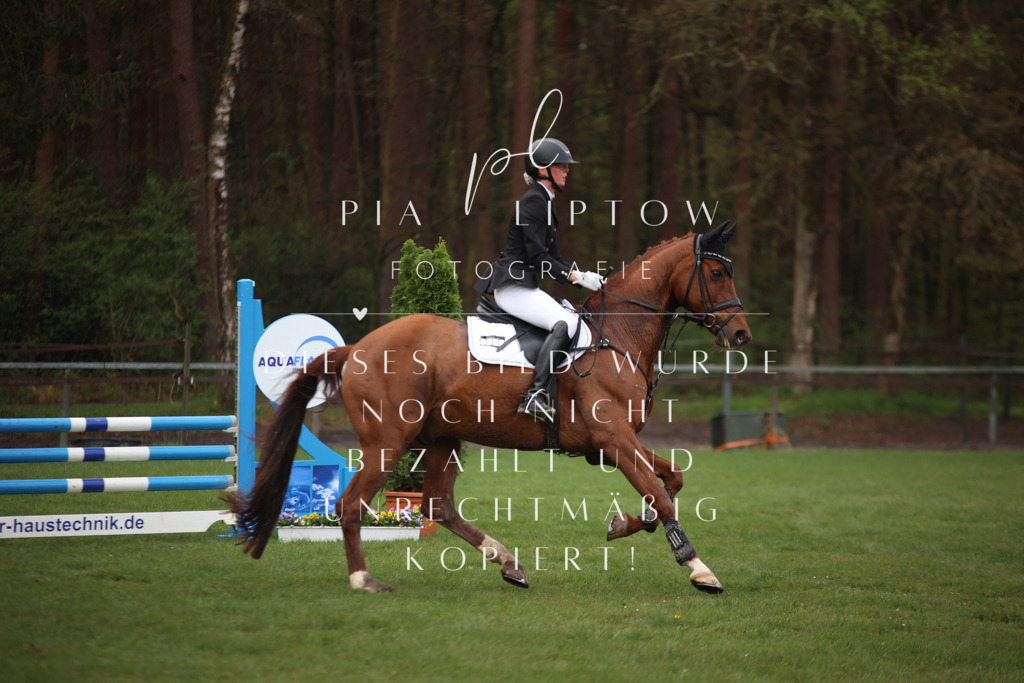 IMGT2476 | pl-fotografie