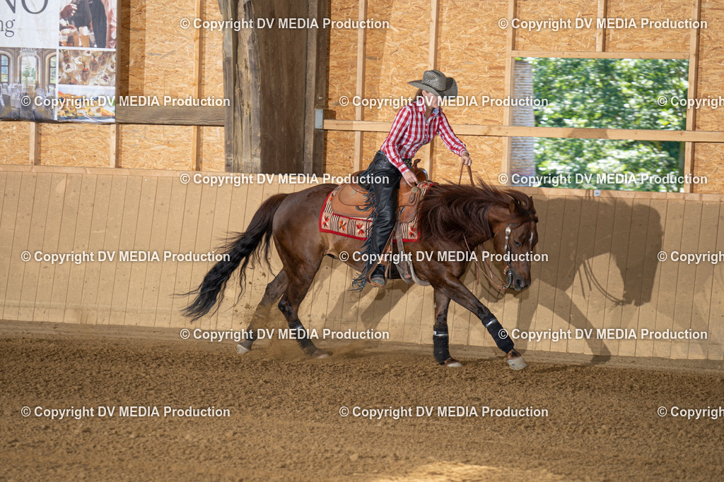 DSC00108 | dv-media-shop - Realisiert mit Pictrs.com