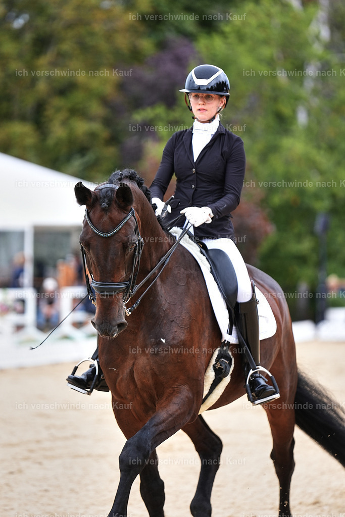 04_1-022-Dressur M__ -Marixx-2768 | working equitationturnier fotograf videograf stoibphotography marixx film working equitation deutschland reitsport turnierfotografie eventfotografie equestrian events