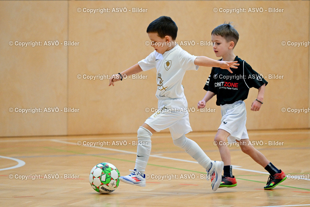 ASVÖ_ Fussballturnier SV Gallneukirchen_ 08.02.2025-31 | 08.02.2025, Gallneukirchen, AUT, ASVÖ, Fussball Nachwuchs Hallenturnier 2025, SV Gallneukirchen im Bild Teilnehmer U 7©Harald Dostal / fodo.media - Realisiert mit Pictrs.com
