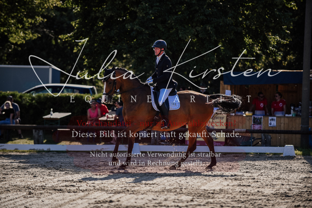 DSC_0608 | Pferde- und Turnierfotografie in Westsachsen. Pferdeportraits, Auftragszeichnungen und intuitive Kunst.