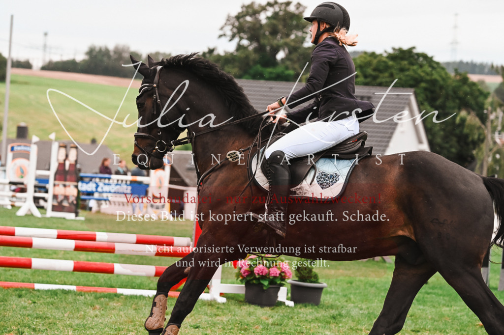 DSC_6290 | Pferde- und Turnierfotografie in Westsachsen. Pferdeportraits, Auftragszeichnungen und intuitive Kunst.