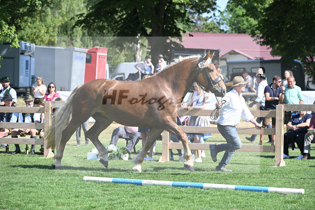 Kat-Nr. 13 Ida_Weiderer_20230197 | hf-fotografie - Realisiert mit Pictrs.com