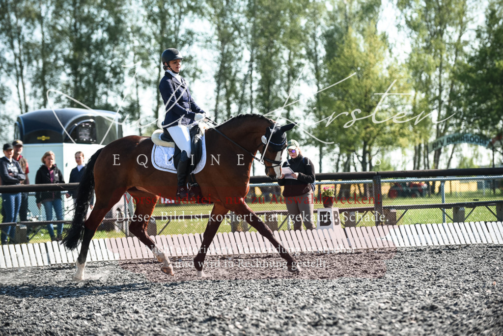 DSC_8544 | Pferde- und Turnierfotografie in Westsachsen. Pferdeportraits, Auftragszeichnungen und intuitive Kunst.