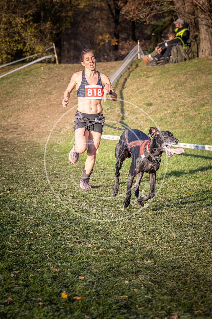 CaniXpix_0L8A0482 | Hundefotografie, Tierfotograf, Pfotenfotografie, Fotoshooting Hund, Hunde Portrait, Hundesport, Hundeportraits, Heideshooting, Hunde, Sportfotograf, Hundefotograf, Turnierhundsport, THS,  - Realisiert mit Pictrs.com