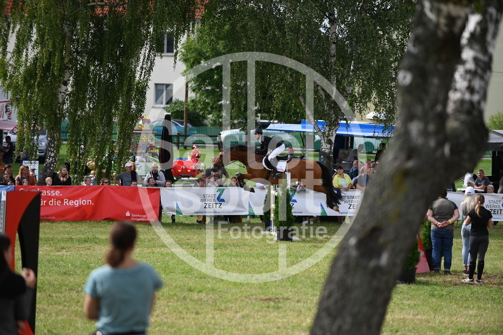 DSC_2947 | sattelsport - Realisiert mit Pictrs.com