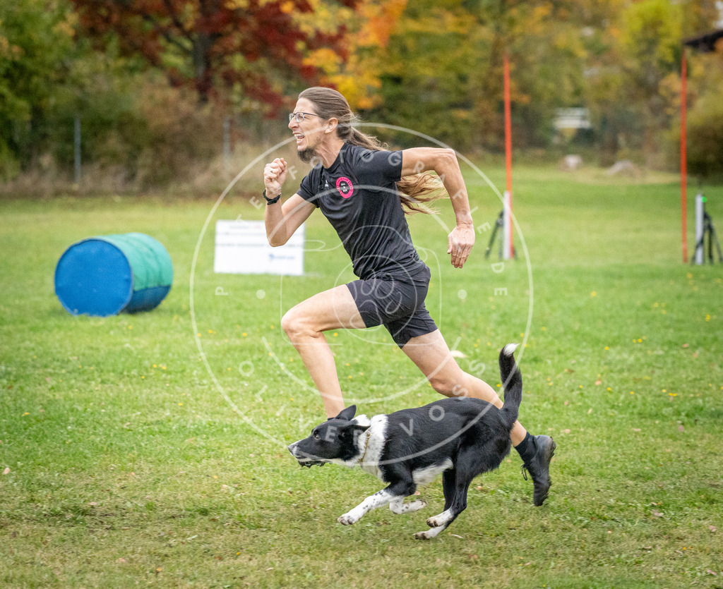 Pfotenfotografie_DV3A1270 | Hundefotografie, Tierfotograf, Pfotenfotografie, Fotoshooting Hund, Hunde Portrait, Hundesport, Hundeportraits, Heideshooting, Hunde, Sportfotograf, Hundefotograf, Turnierhundsport, THS,  - Realisiert mit Pictrs.com