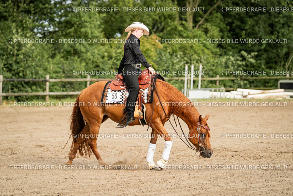 DSC05313 | Pferdegrafie