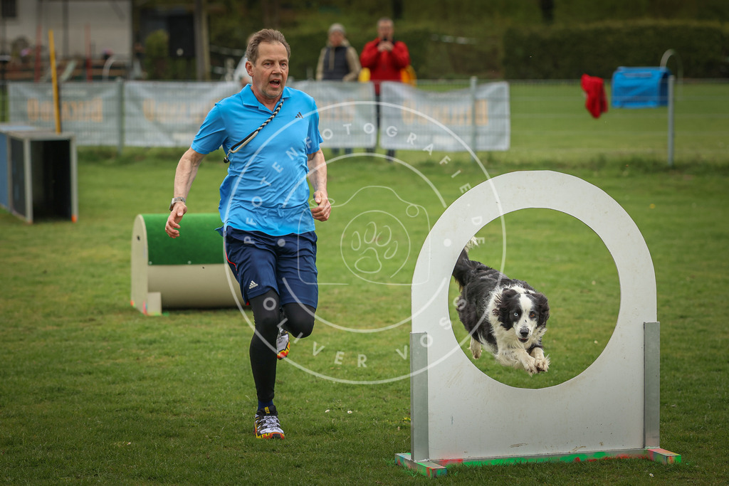 Pfotenfotografie_0L8A1194 | Hundefotografie, Tierfotograf, Pfotenfotografie, Fotoshooting Hund, Hunde Portrait, Hundesport, Hundeportraits, Heideshooting, Hunde, Sportfotograf, Hundefotograf, Turnierhundsport, THS,  - Realisiert mit Pictrs.com