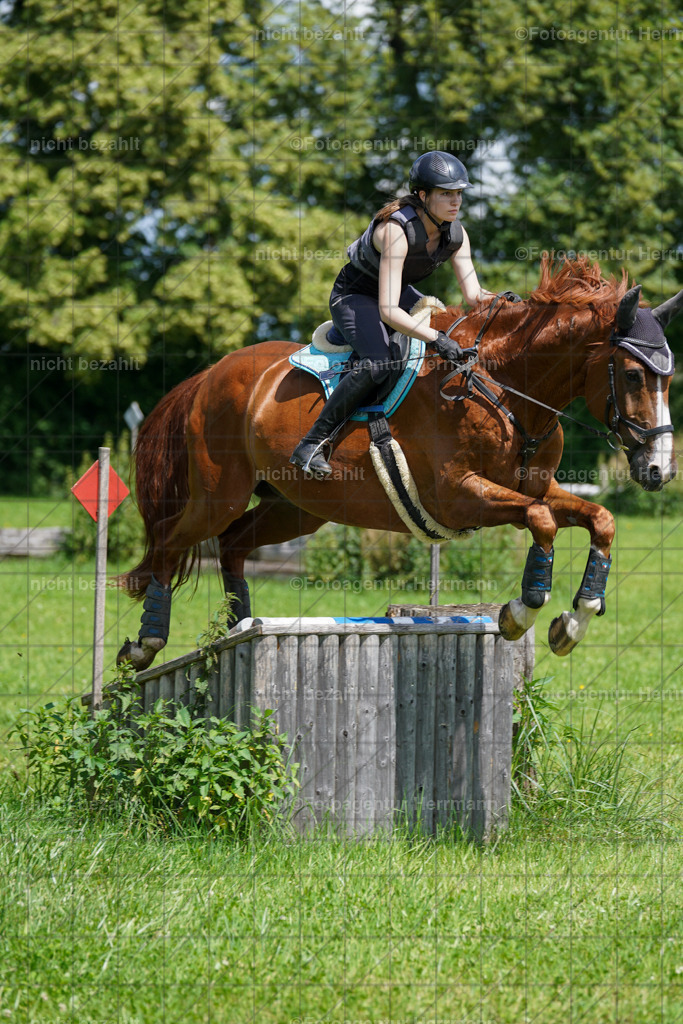 20240622-FAH06791 | Turnierfotografen Bayern, Reitsportbilder aus dem Geländekurs mit Felix Etzel auf dem Gut Waitzacker 2024