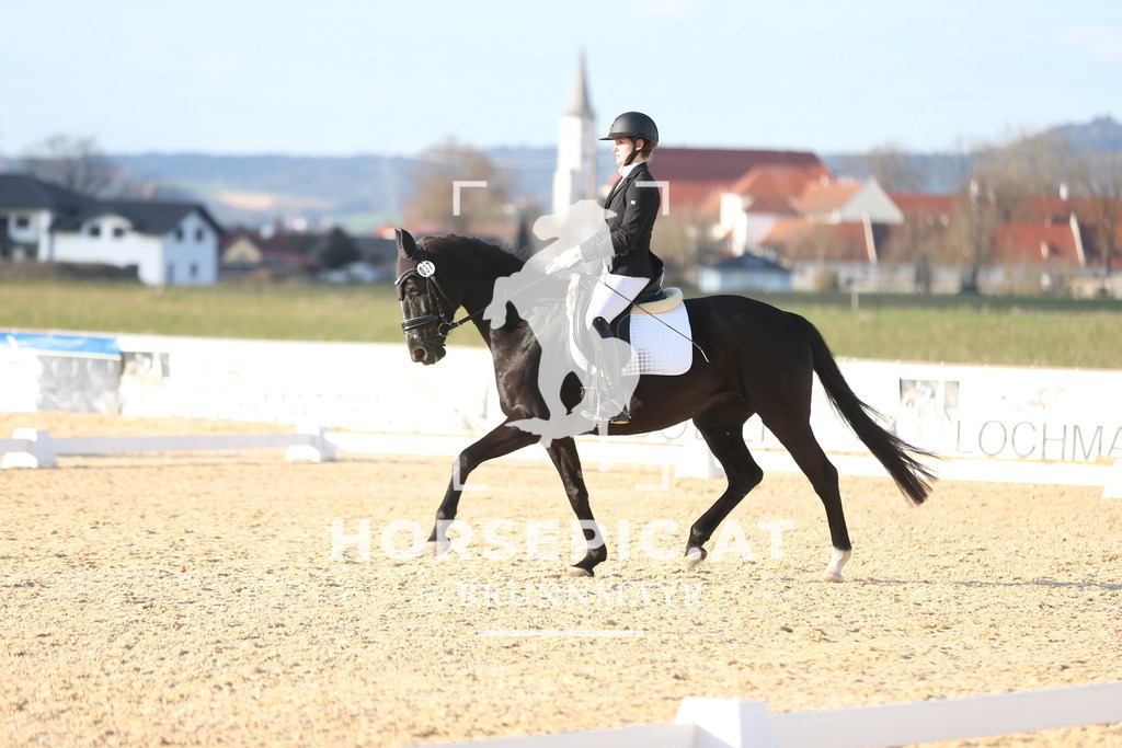 AS8V2162 | Willkommen bei Brunnmayr - Design & Fotografie – Ihrem Spezialisten für Reitturniere und Pferdeveranstaltungen in Oberösterreich, Salzburg und Bayern! Seit über 17 Jahren sind wir leidenschaftlich dabei.