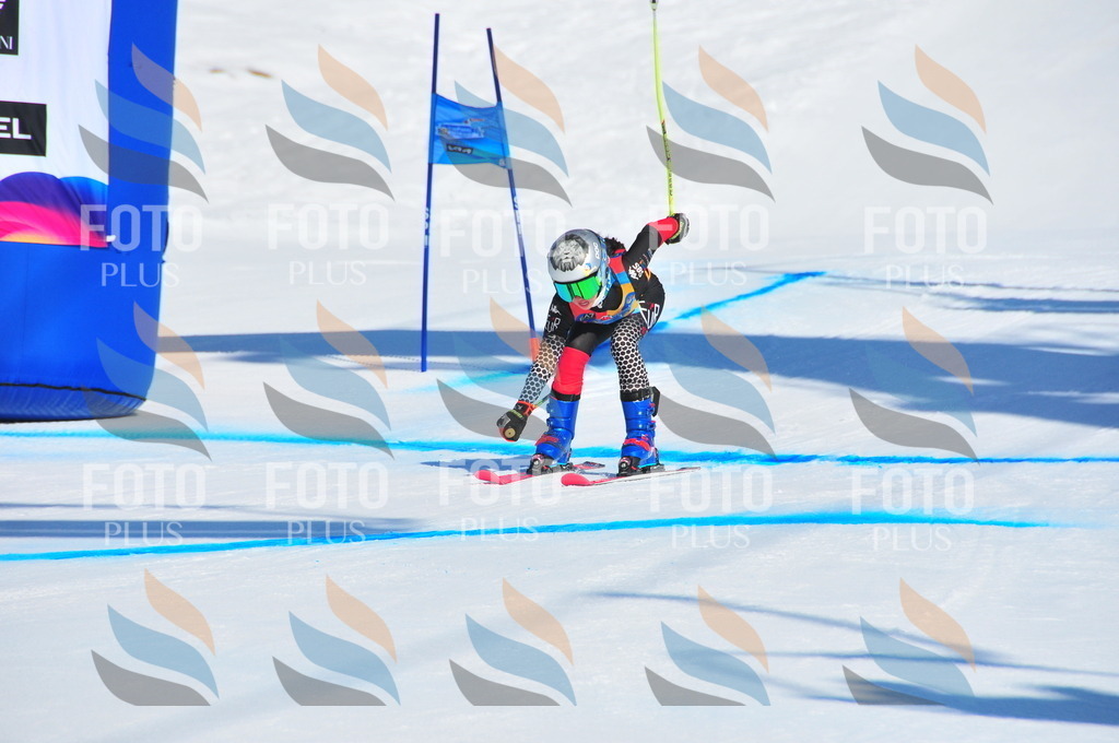 DSC_4062 | holidayphoto