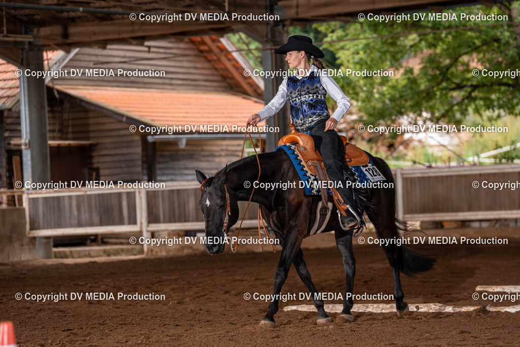 Erbach Tag 2-144 | dv-media-shop - Realisiert mit Pictrs.com