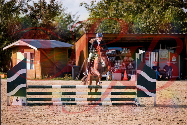 2026_10_03_Siefer-Hof_155806_Z81_77851851 | Professionelle Reitsport-, Turnier- und Eventfotografie von Robert Broda. Galerien mit ausgewählten und bearbeiteten Bildern direkt online ansehen und bestellen.