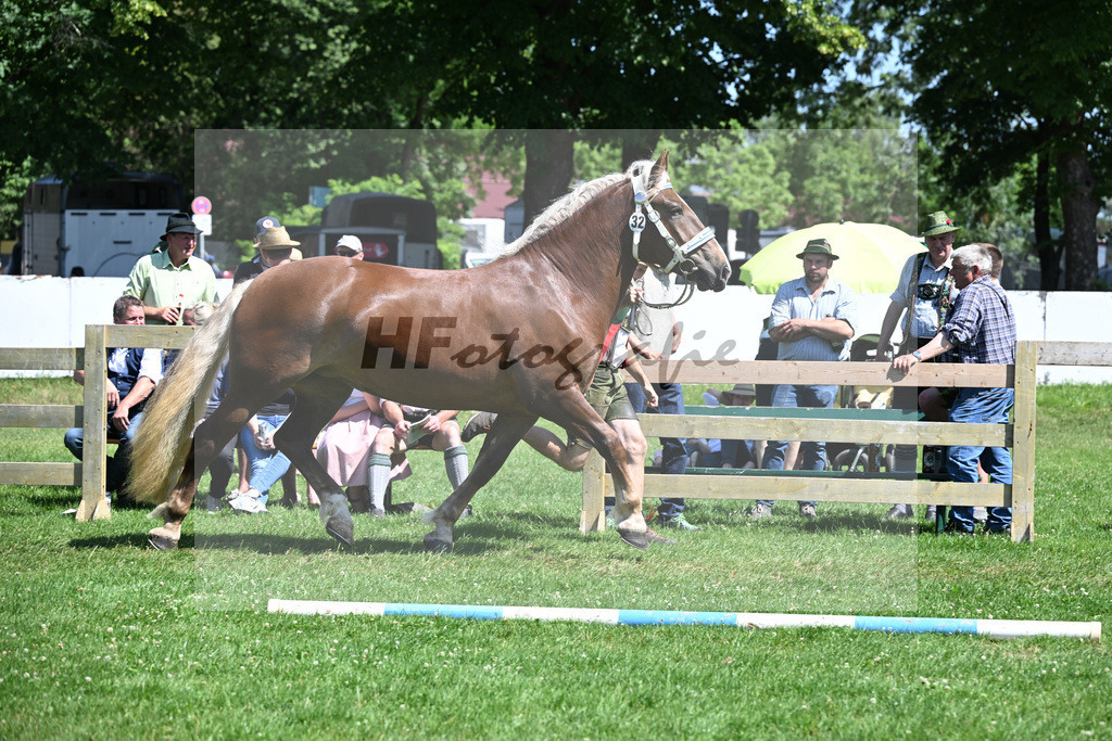 Kat-Nr. 32 Orelia v. Sribery_Lopatkiewicz_18250583 | hf-fotografie - Realizzato con Pictrs.com