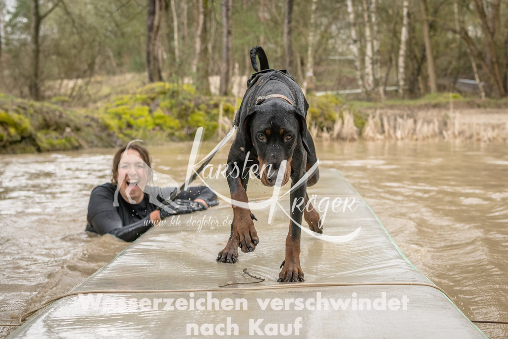 1331_ZZ90828-Bearbeitet | kk-dogfotos