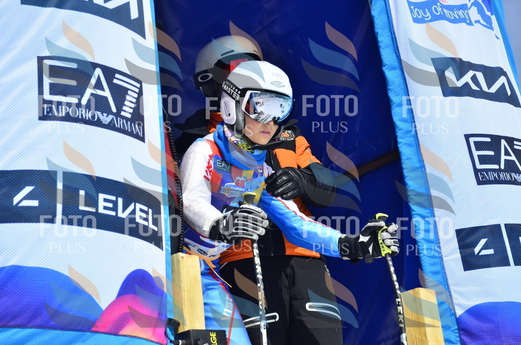 _ELE1355 | holidayphoto