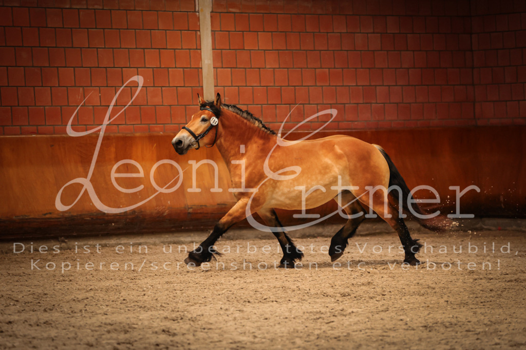 SaFL00108 | Leoni Ertmer Photography - Realisiert mit Pictrs.com