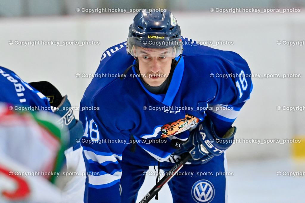 BST_9471 | hockey sports photos, Pressefotos, Sportfotos, hockey247, win 2day icehockeyleague, Handball Austria, Floorball Austria, ÖVV, Kärntner Eishockeyverband, KEHV, KFV, Kärntner Fussballverband, Österreichischer Volleyballverband, Alps Hockey League, ÖFB, 