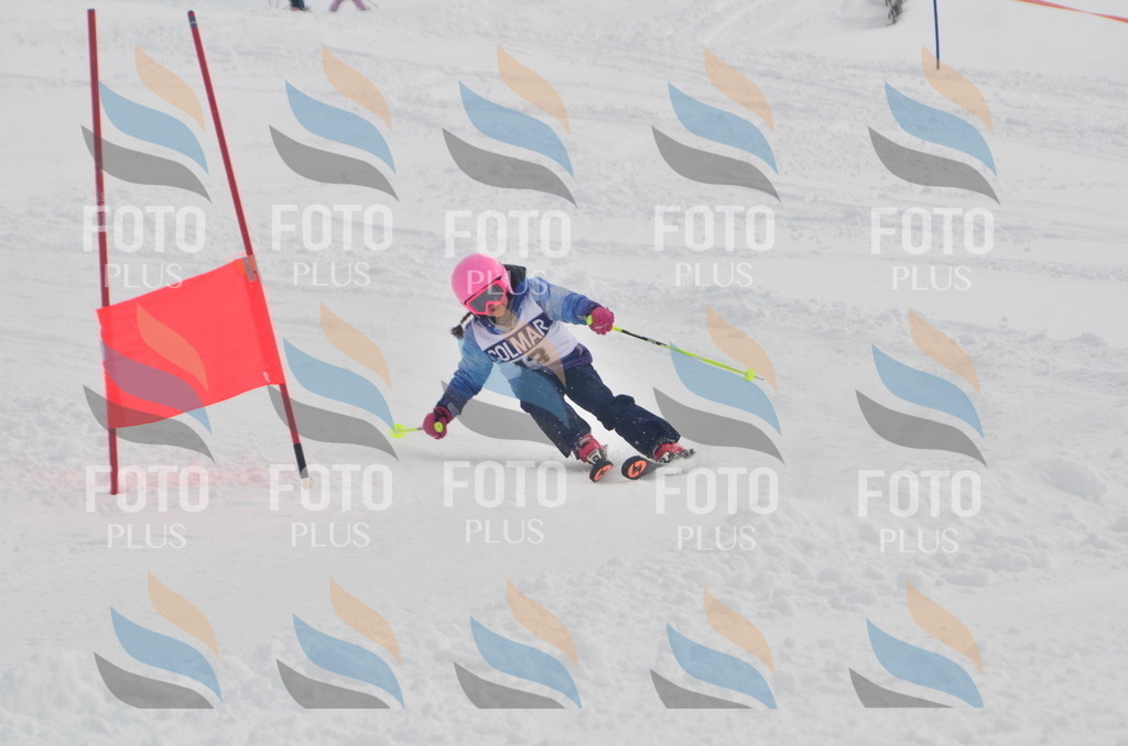 A5090 | holidayphoto