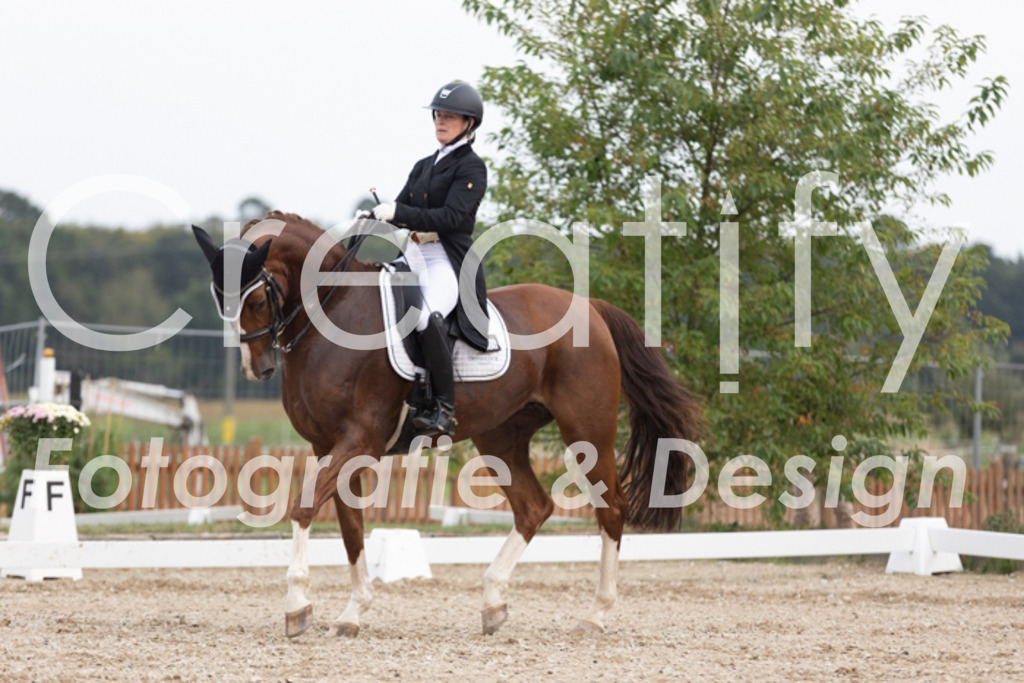 IMG_5684 | Creatify Fotografie