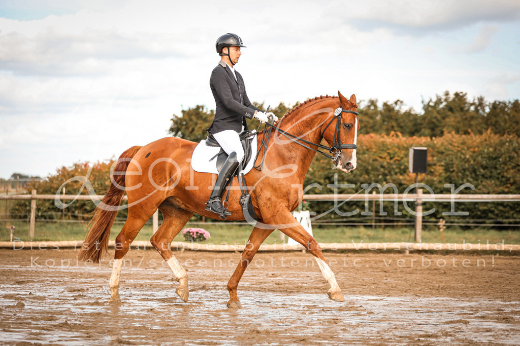 17.SoDrM00243 | Leoni Ertmer Photography - Realisiert mit Pictrs.com