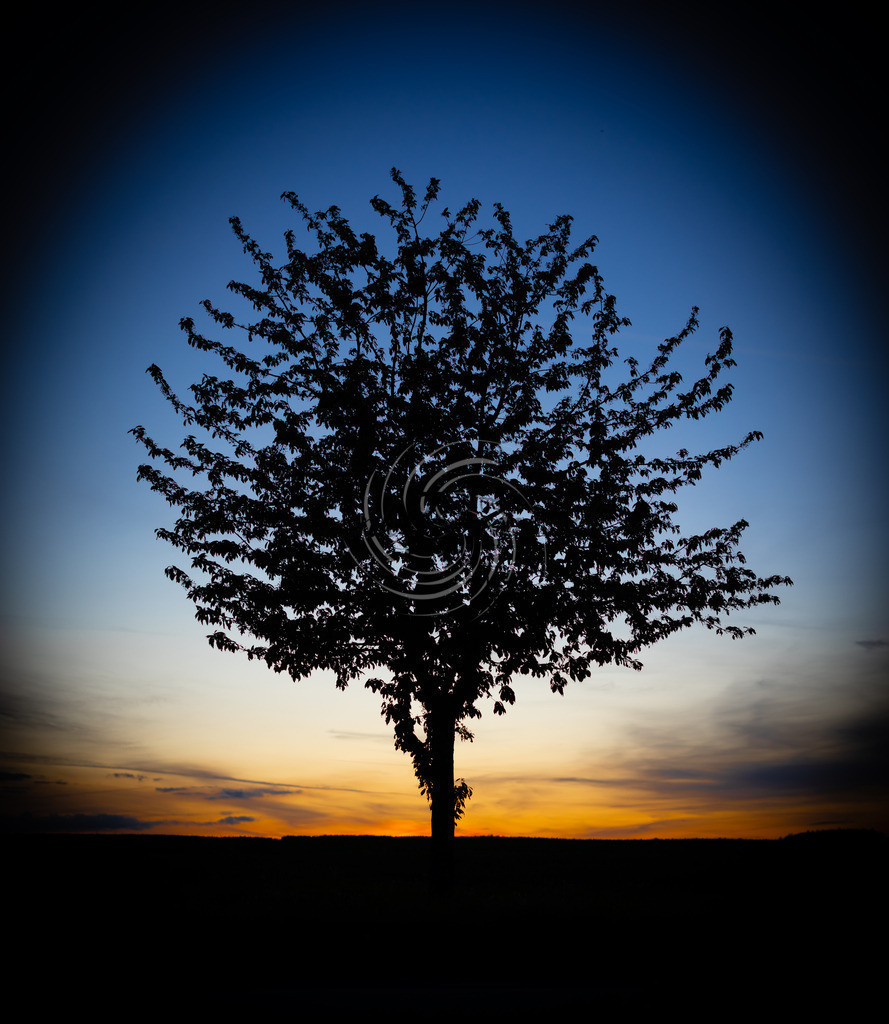 _X0A0160-Editbea | Frank Herberich Fotografie, Frank Herberich, Fotografie, Hochzeit, Portrait, St. Peter Ording, Ording, Westerhever, Nordsee, Frank Fotografie, Hardheim,  Odenwald,Walldürn, Band,Eventfotografie - Realized with Pictrs.com