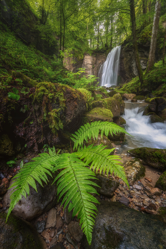 A7408531-Bearbeitet-Bearbeitet | Landschaftsfotografien und Naturfotografien (Schweiz, Europa) auf Leinwand, Postkarten und Poster. Wähle dein Lieblingsfoto und entscheiden selber, welches Fotoprodukt du bestellen willst. Grosse Auswahl an Karten zum Versenden und Verschenken. - Realisiert mit Pictrs.com