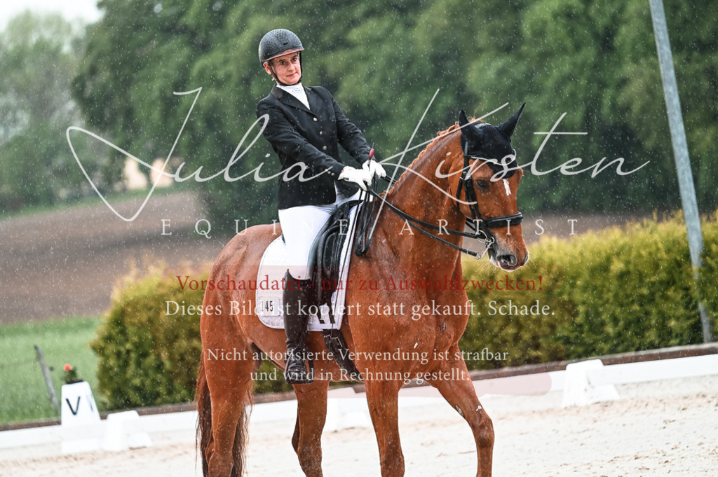 DSC_4444 | Pferde- und Turnierfotografie in Westsachsen. Pferdeportraits, Auftragszeichnungen und intuitive Kunst.