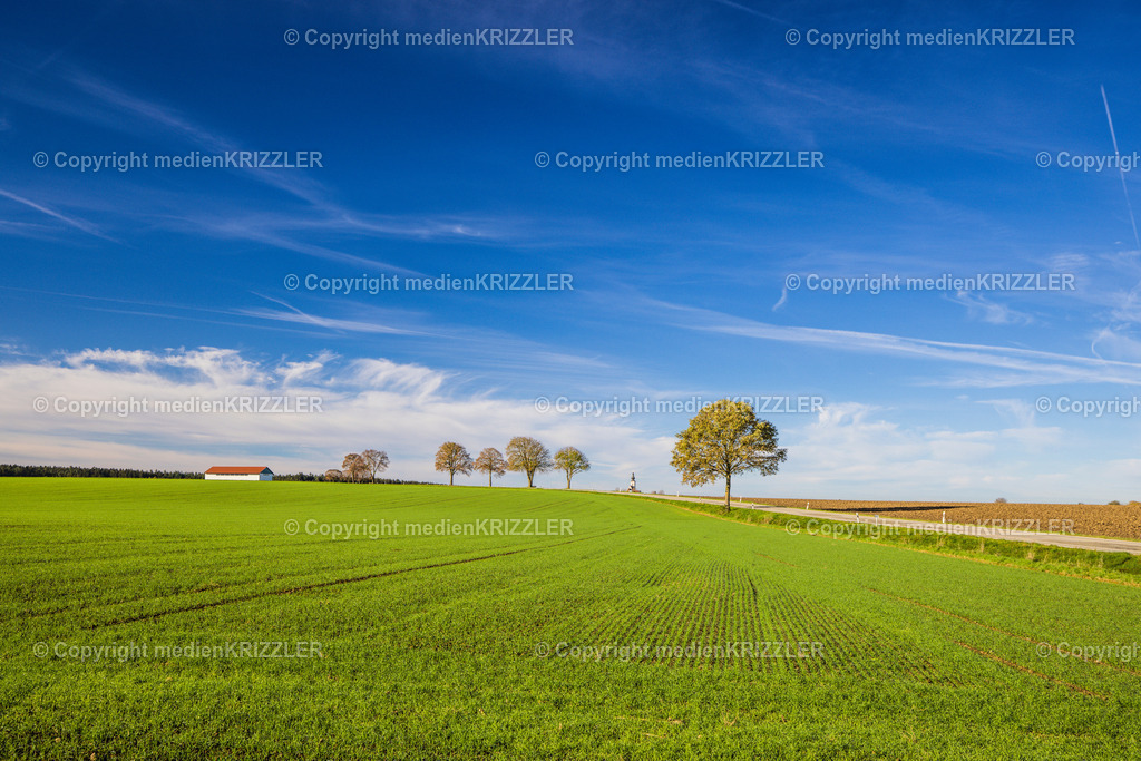 _J3A9024 | medienkrizzler - Realisiert mit Pictrs.com